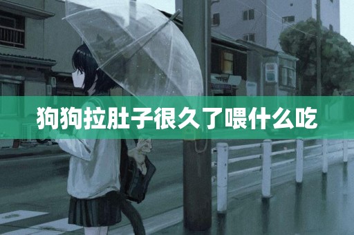 狗狗拉肚子很久了喂什么吃
