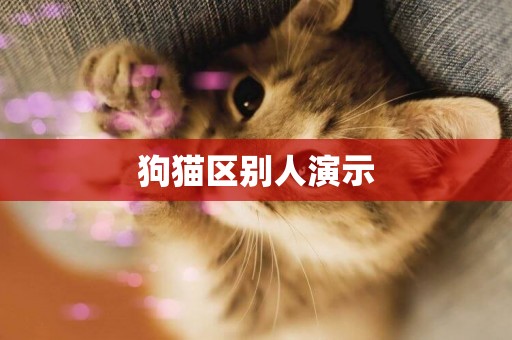 狗貓區別人演示