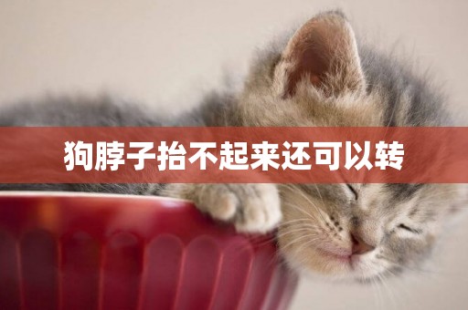 狗脖子抬不起來還可以轉