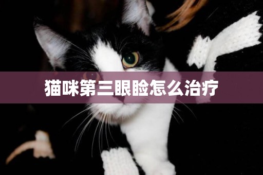 貓咪第三眼瞼怎么治療