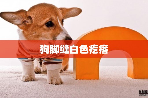 狗腳縫白色疙瘩