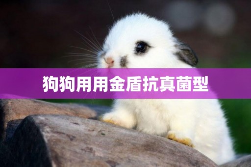 狗狗用用金盾抗真菌型