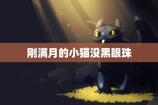 剛滿月的小貓沒黑眼珠