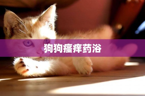 狗狗瘙癢藥浴