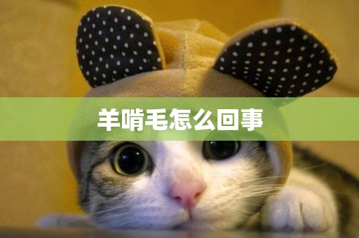 羊啃毛怎么回事
