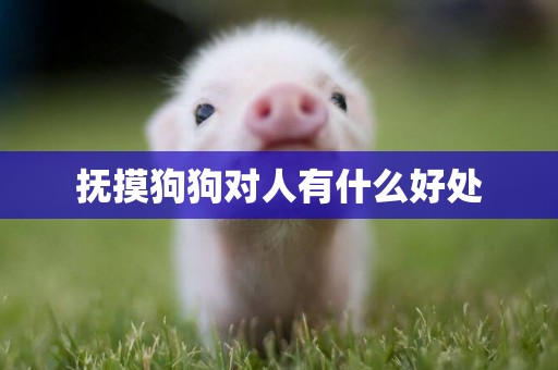 撫摸狗狗對人有什么好處