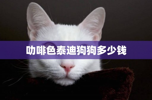 叻啡色泰迪狗狗多少錢