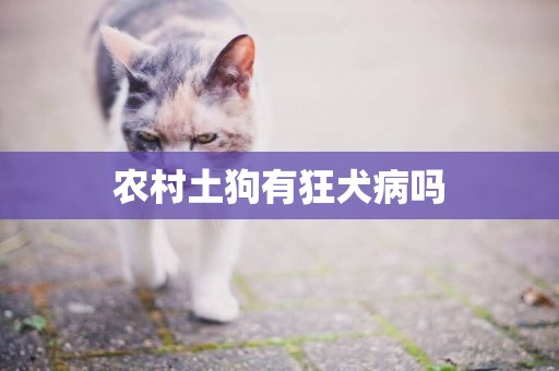 農村土狗有狂犬病嗎
