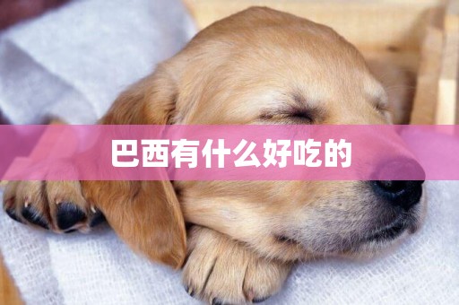 巴西有什么好吃的
