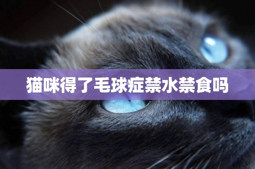 貓咪得了毛球癥禁水禁食嗎