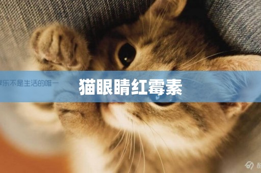 貓眼睛紅霉素