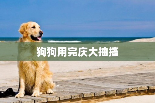 狗狗用完慶大抽搐