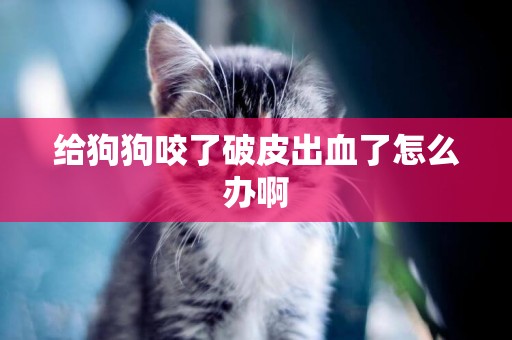 給狗狗咬了破皮出血了怎么辦啊
