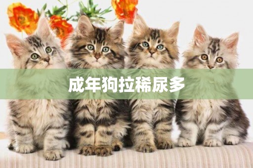 成年狗拉稀尿多