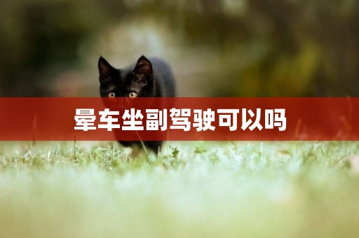 暈車坐副駕駛可以嗎