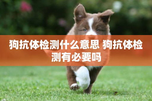 狗抗體檢測什么意思 狗抗體檢測有必要嗎