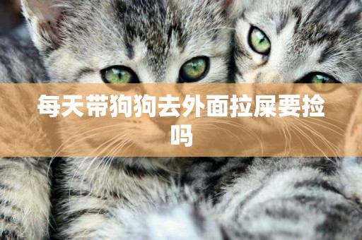 每天帶狗狗去外面拉屎要撿嗎