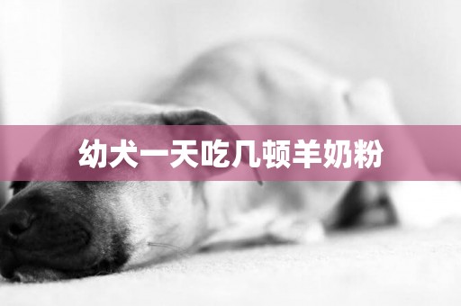 幼犬一天吃幾頓羊奶粉
