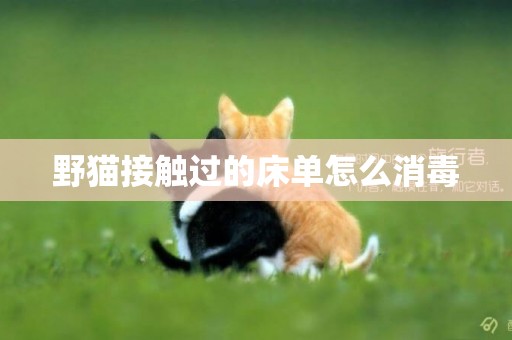野貓接觸過的床單怎么消毒