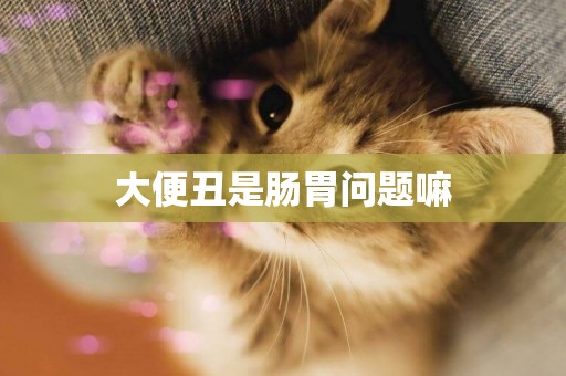 大便丑是腸胃問題嘛