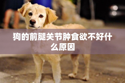 狗的前腿關節腫食欲不好什么原因