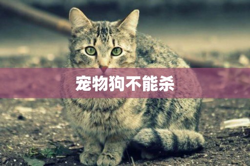 寵物狗不能殺