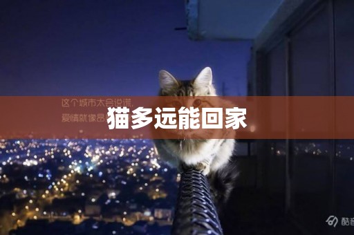 貓多遠能回家