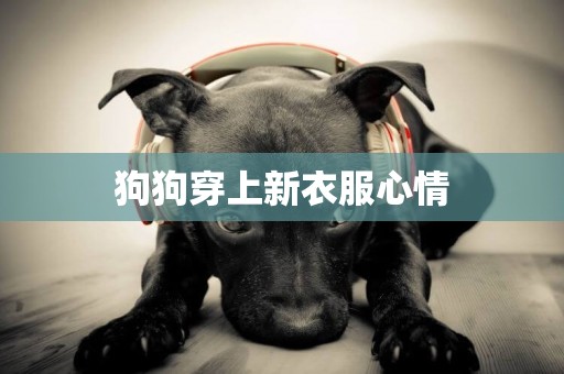 狗狗穿上新衣服心情