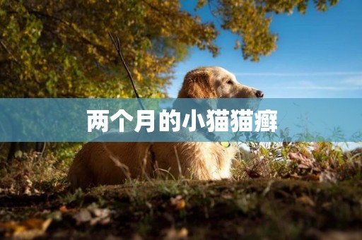 兩個月的小貓貓癬