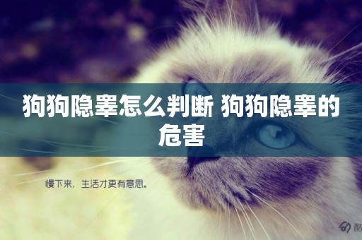 狗狗隱睪怎么判斷 狗狗隱睪的危害