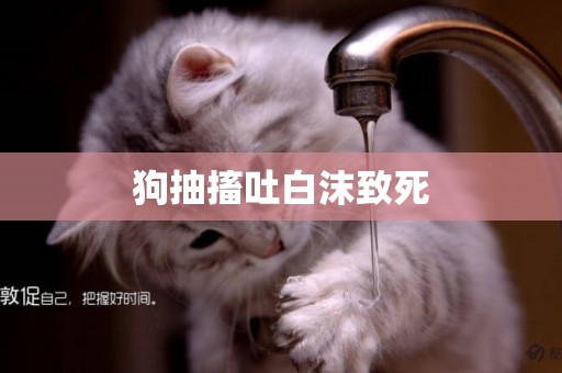 狗抽搐吐白沫致死