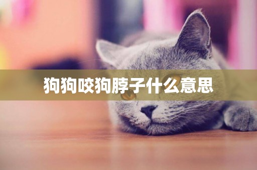 狗狗咬狗脖子什么意思