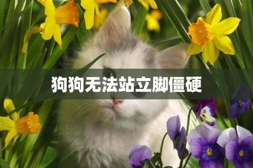 狗狗無法站立腳僵硬