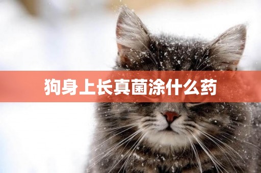 狗身上長真菌涂什么藥