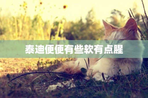 泰迪便便有些軟有點腥