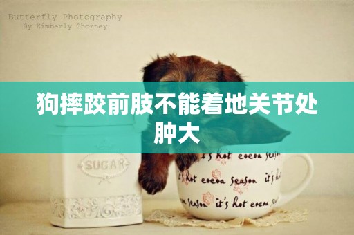 狗摔跤前肢不能著地關節處腫大