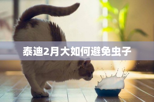 泰迪2月大如何避免蟲子