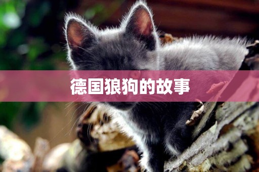 德國狼狗的故事