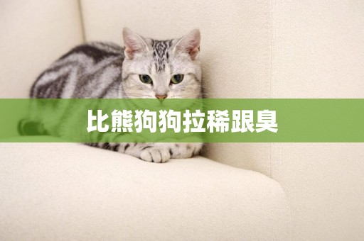 比熊狗狗拉稀跟臭