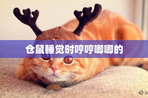 倉鼠睡覺時哼哼唧唧的