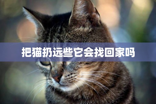 把貓扔遠些它會找回家嗎