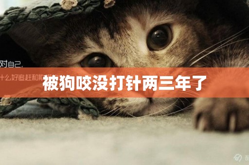 被狗咬沒打針兩三年了