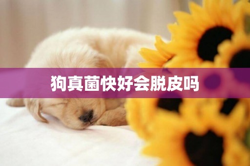 狗真菌快好會脫皮嗎