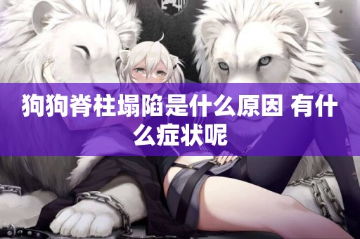 狗狗脊柱塌陷是什么原因 有什么癥狀呢