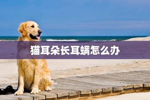 貓耳朵長耳螨怎么辦