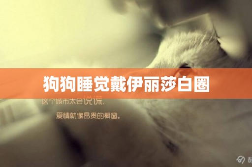 狗狗睡覺戴伊麗莎白圈