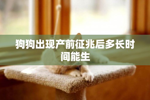 狗狗出現產前征兆后多長時間能生