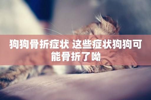 狗狗骨折癥狀 這些癥狀狗狗可能骨折了呦
