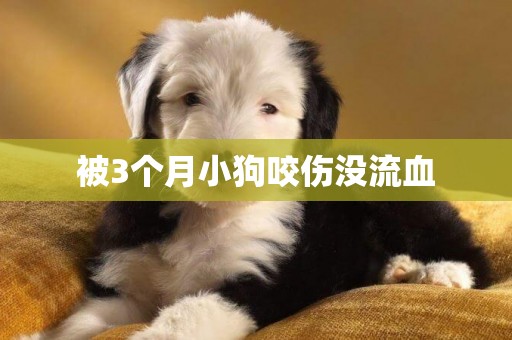 被3個月小狗咬傷沒流血