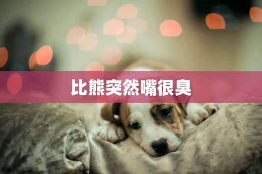 比熊突然嘴很臭